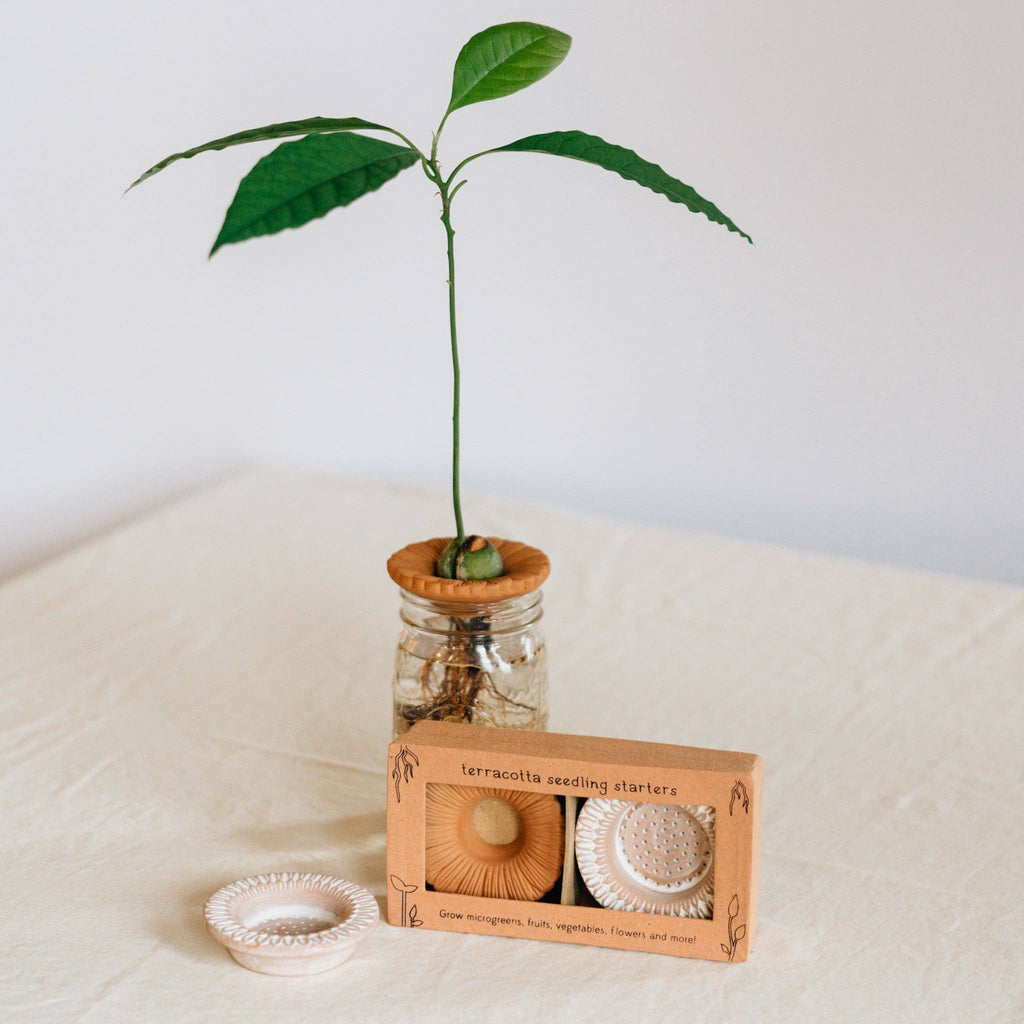 Terracotta Floral Seed Sprouter Set, A Lovely Little Growing Ritual