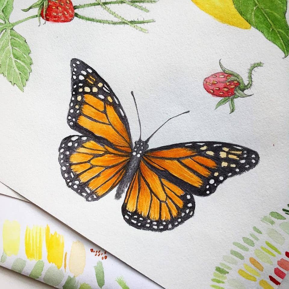 Butterfly Garden Seed Tin, Pollinator Wildflower Mix