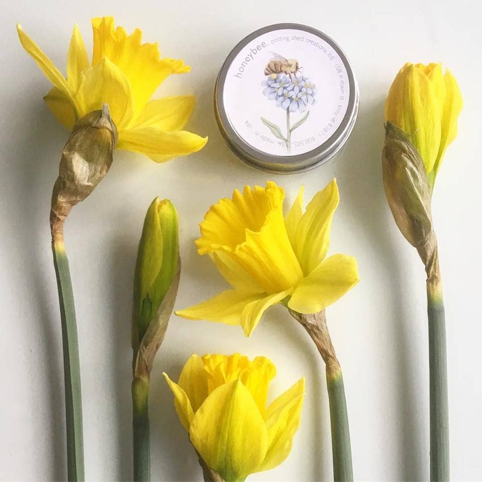 Honeybee Garden Wildflower Seed Mix – Pollinator Flower Seeds in Reusable Tin