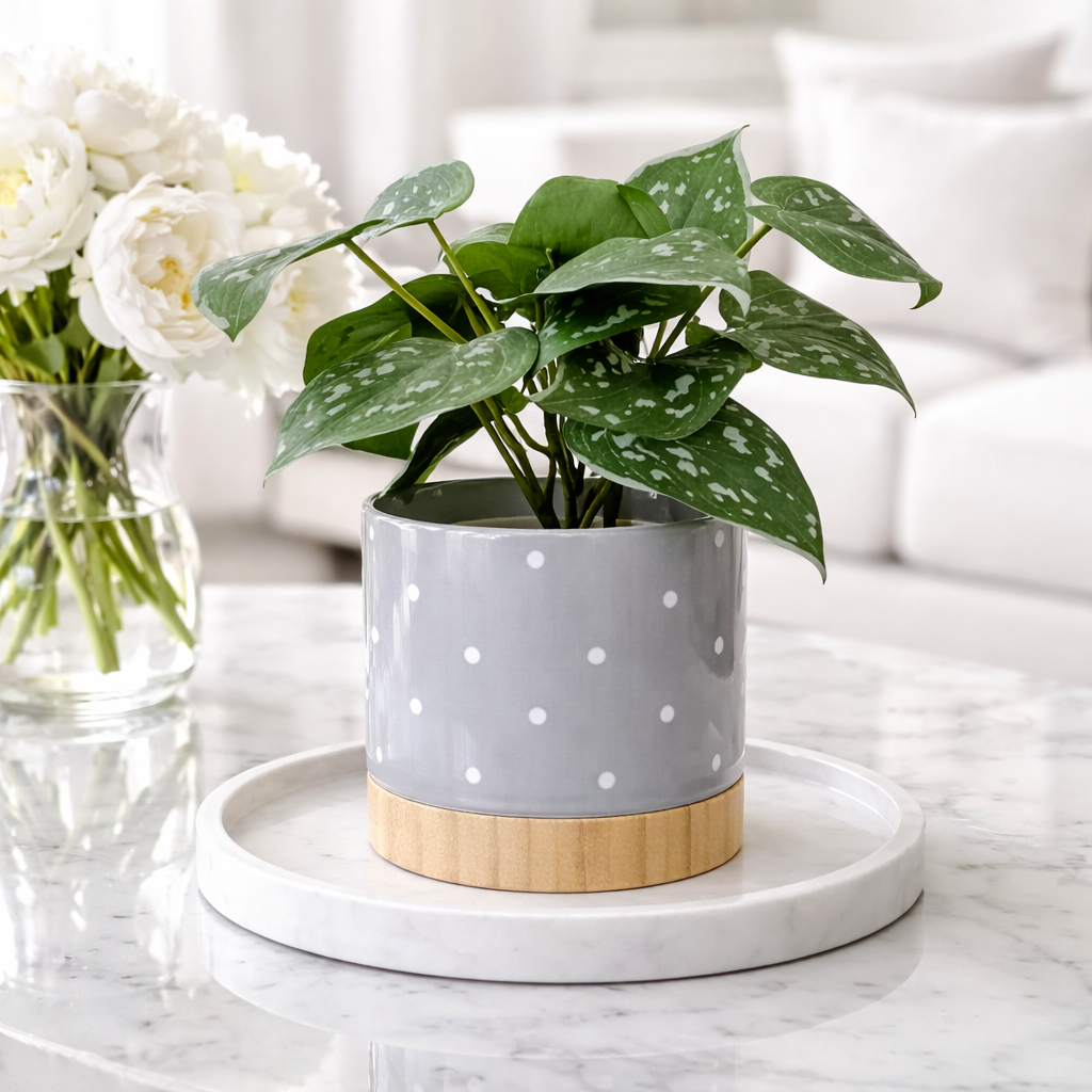 Petal & Print Ceramic Planter with Bamboo Tray 2 Designs MADE IN USA