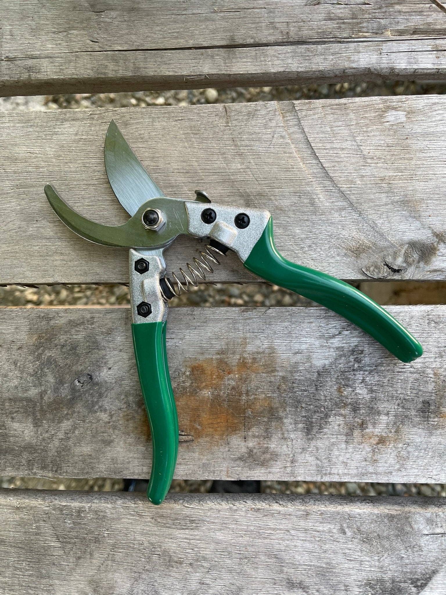 Pruner Shears for the Garden – Best Hand Pruners in Carbon Steel, Made in USA!