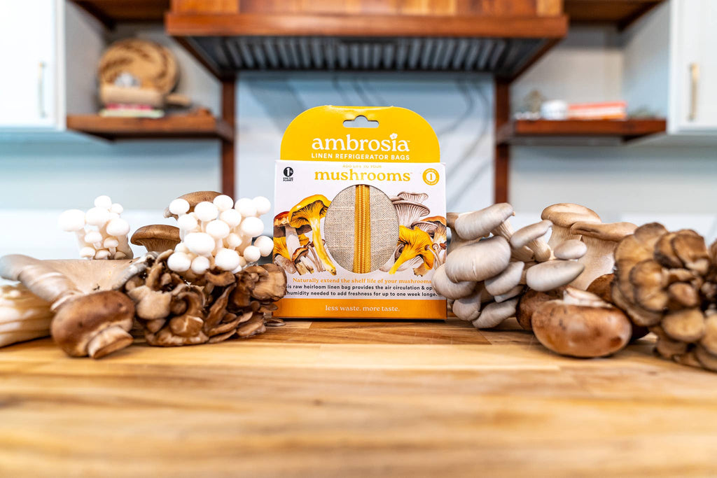 Ambrosia Bag Reusable Flax Linen Mushroom Storage Bag – Fresh Fridge Storage