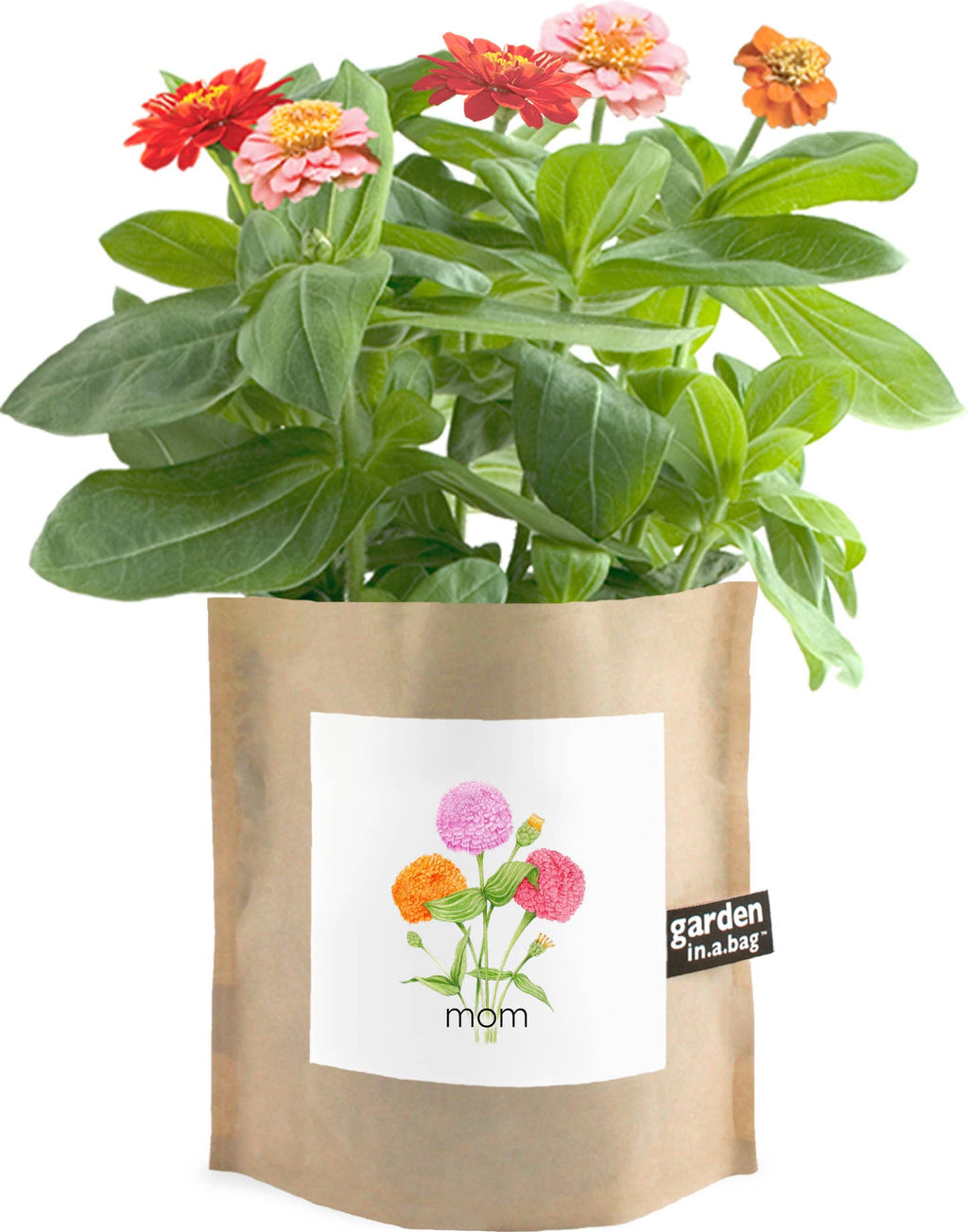 Mom Garden in a Bag – Zinnia Flower Growing Kit Garden Gift • Ready to Grow