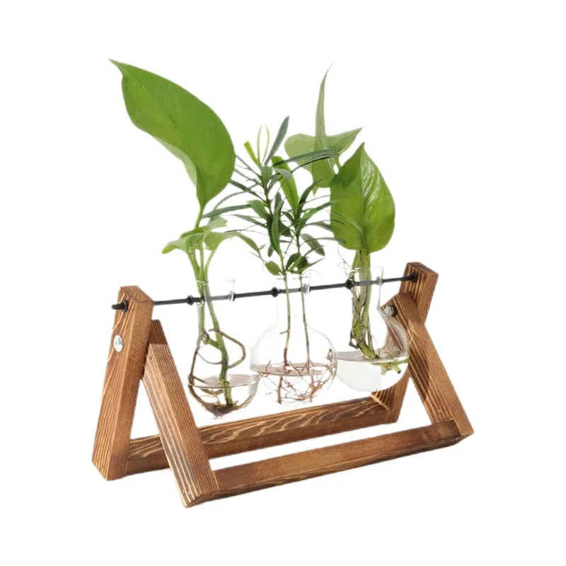 Wooden Base Glass Vase - Plant Holder & Propagation Station for Hydroponic Plants, Desktop Terrarium with Wooden Stand, Stylish Home & Office Décor, Great Gift for Plant