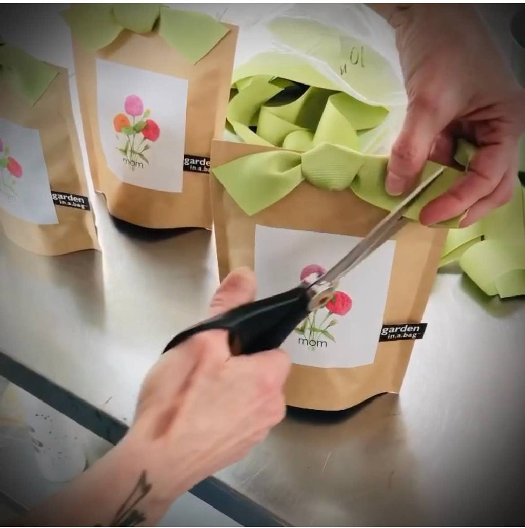 Mom Garden in a Bag – Zinnia Flower Growing Kit Garden Gift • Ready to Grow