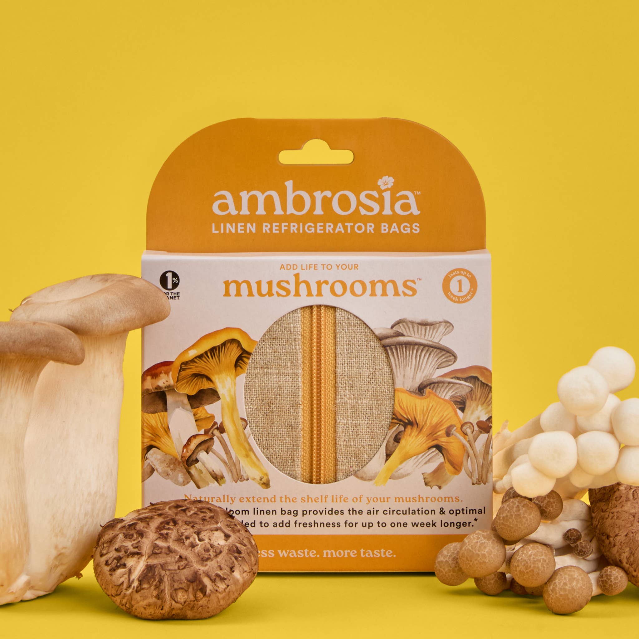 Ambrosia Bag Reusable Flax Linen Mushroom Storage Bag – Fresh Fridge Storage