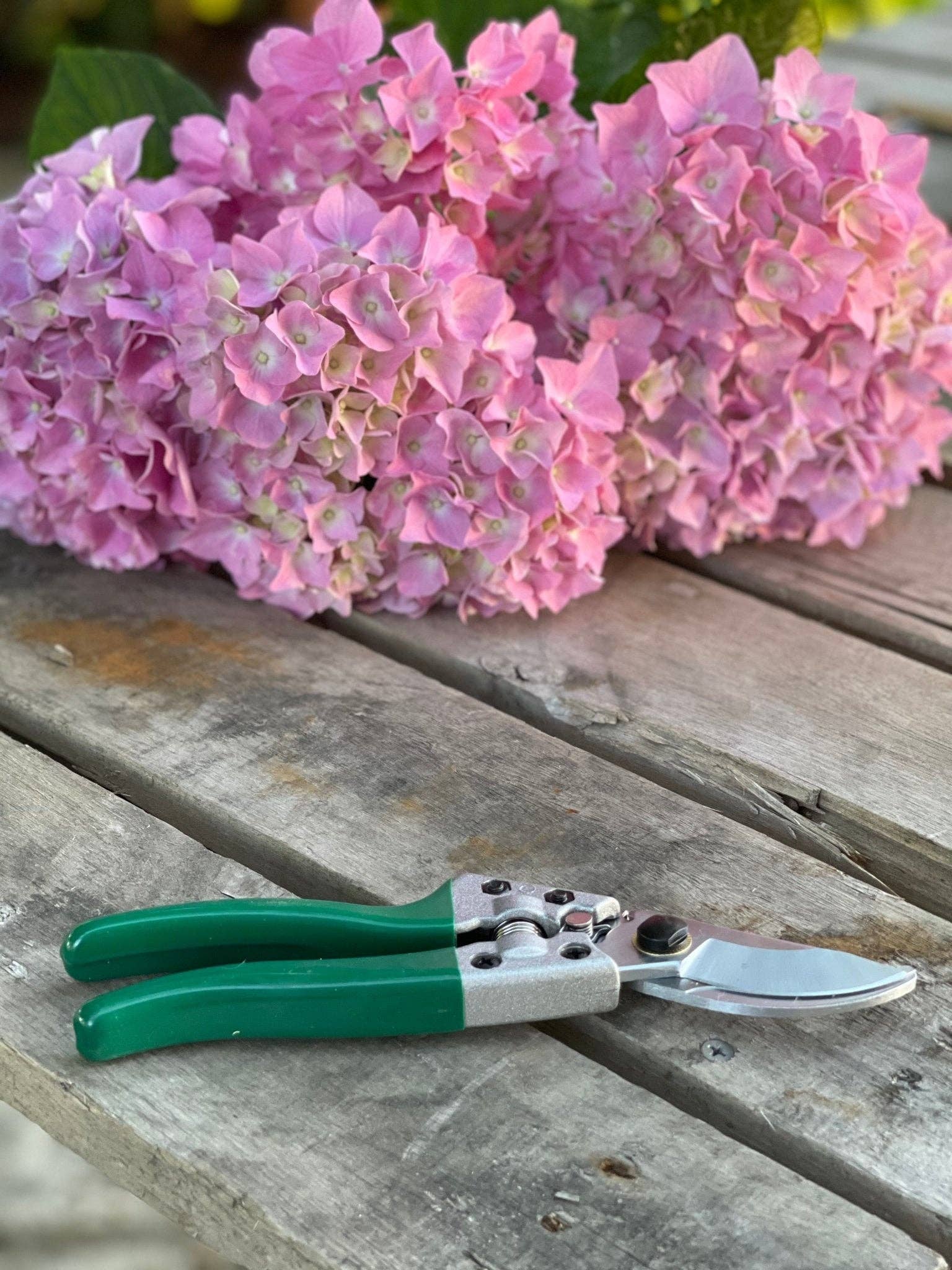 Pruner Shears for the Garden – Best Hand Pruners in Carbon Steel, Made in USA!