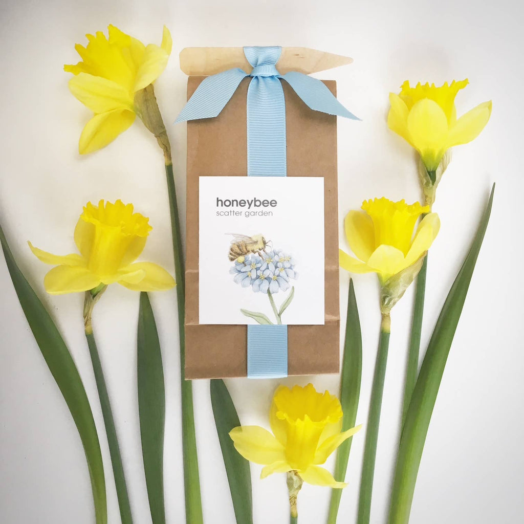 Pollinator Wildflower Garden Seed Mix – Bee Friendly Flower Seeds