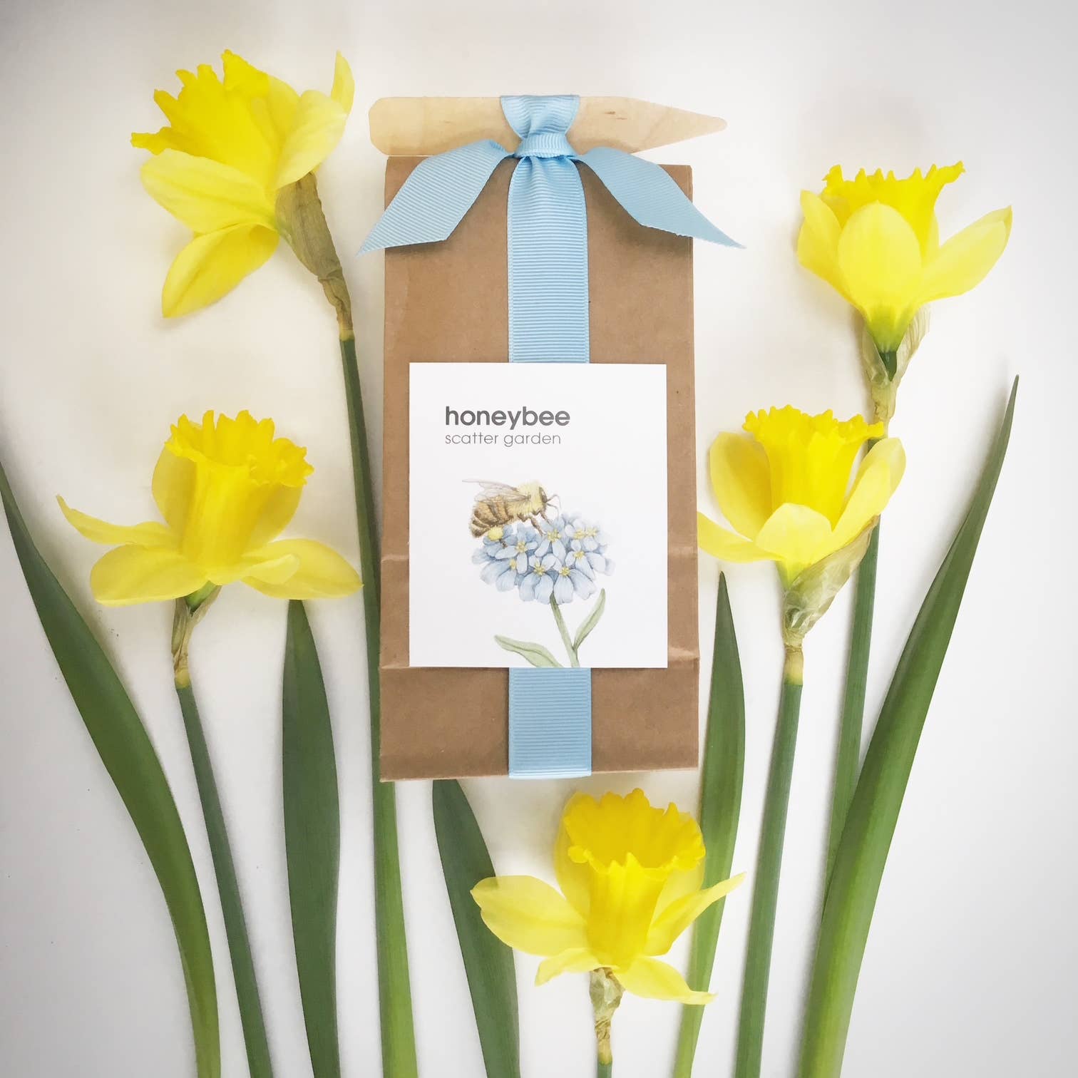 Pollinator Wildflower Garden Seed Mix – Bee Friendly Flower Seeds