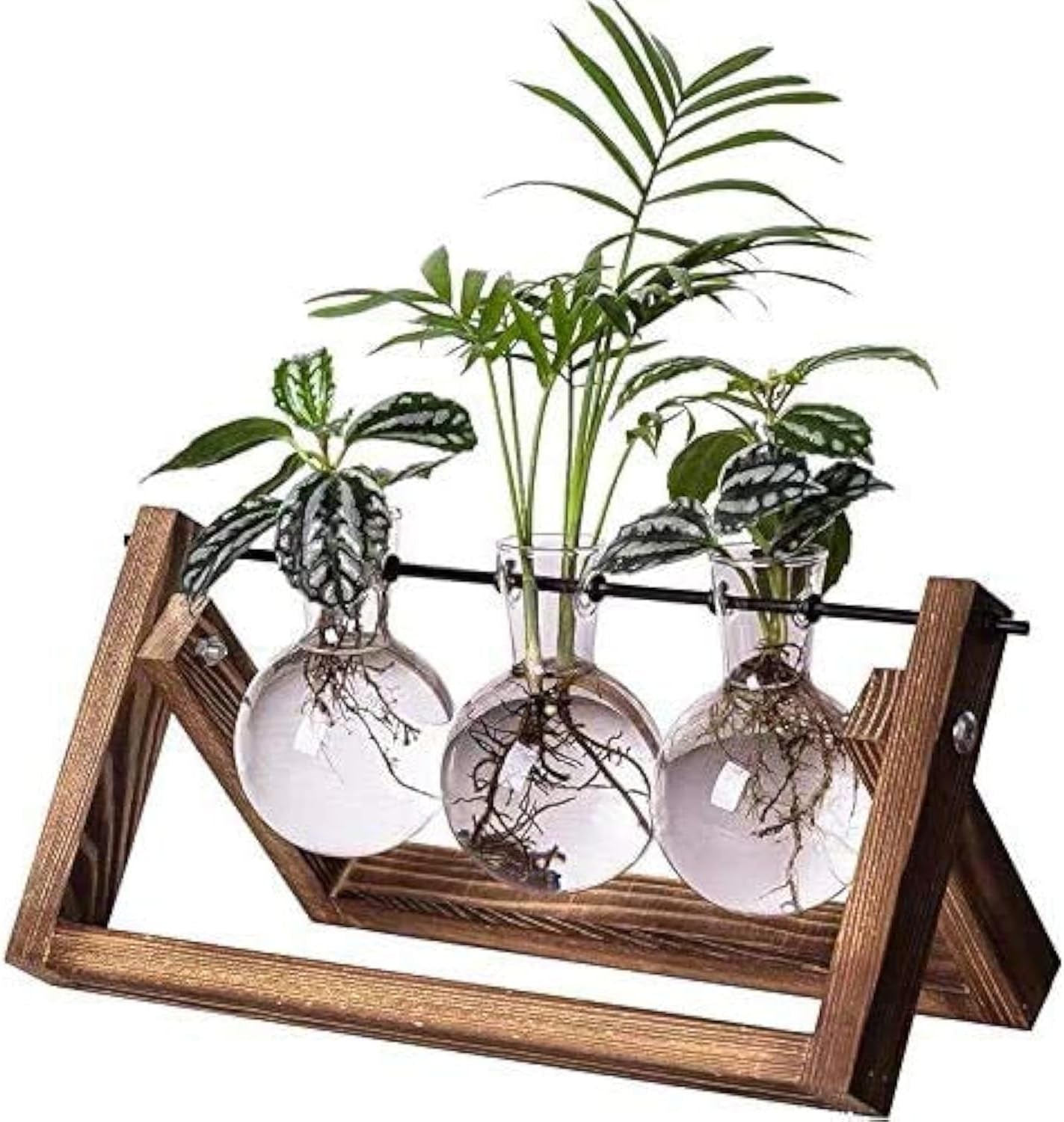 Plant Terrarium Propagation Station - 3 Glass Bulb Vases with Retro Wooden Stand Boho Desktop Planter for Hydroponics Home Garden Indoor Home Office Decor Unique Gifts for Women & Plant Lovers