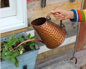 Hand holding a hammered copper watering can above a small potted plant outside a cottage-style doorway