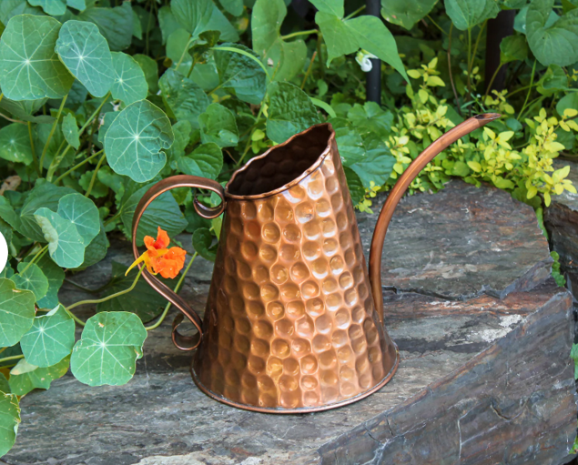 Hammered copper watering can with long spout resting on a stone surface surrounded by lush green nasturtium plants and an orange bloom
