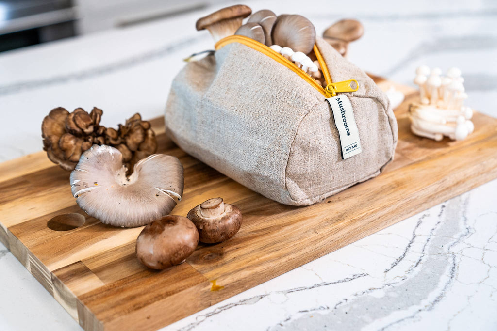 Ambrosia Bag Reusable Flax Linen Mushroom Storage Bag – Fresh Fridge Storage
