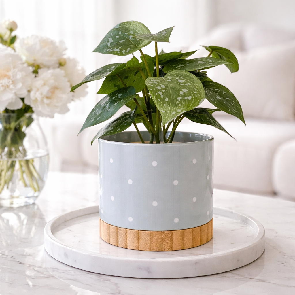 Petal & Print Ceramic Planter with Bamboo Tray 2 Designs MADE IN USA