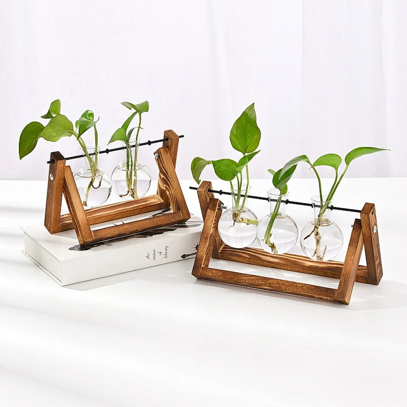Wooden Base Glass Vase - Plant Holder & Propagation Station for Hydroponic Plants, Desktop Terrarium with Wooden Stand, Stylish Home & Office Décor, Great Gift for Plant