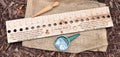 NEW | Seeding Gift Set – Dibble, Seeder & Planting Ruler | Hardwood Garden Tools