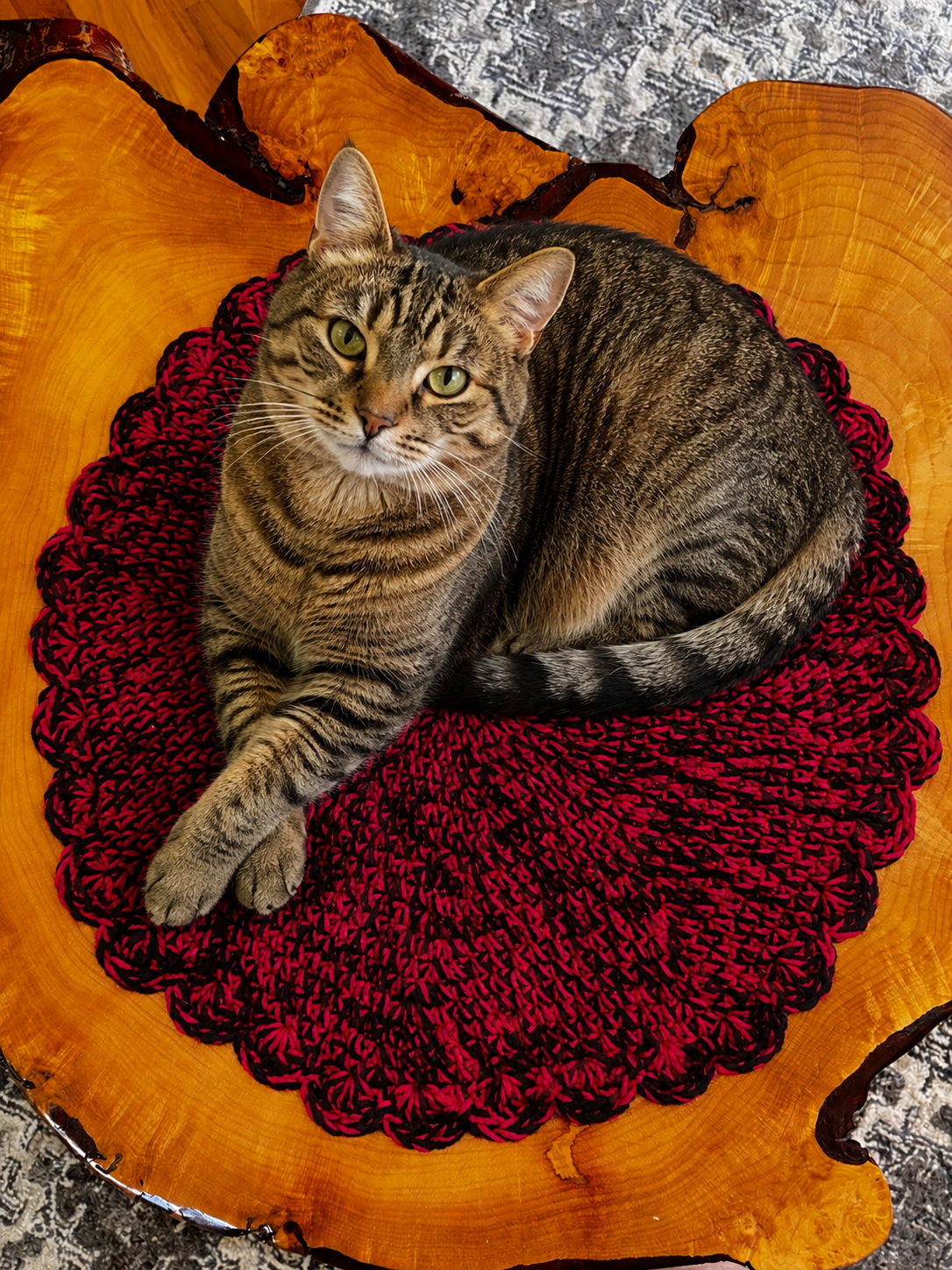 Cat Lounger Handcrafted Crochet — Sleeping Whiskers Studio